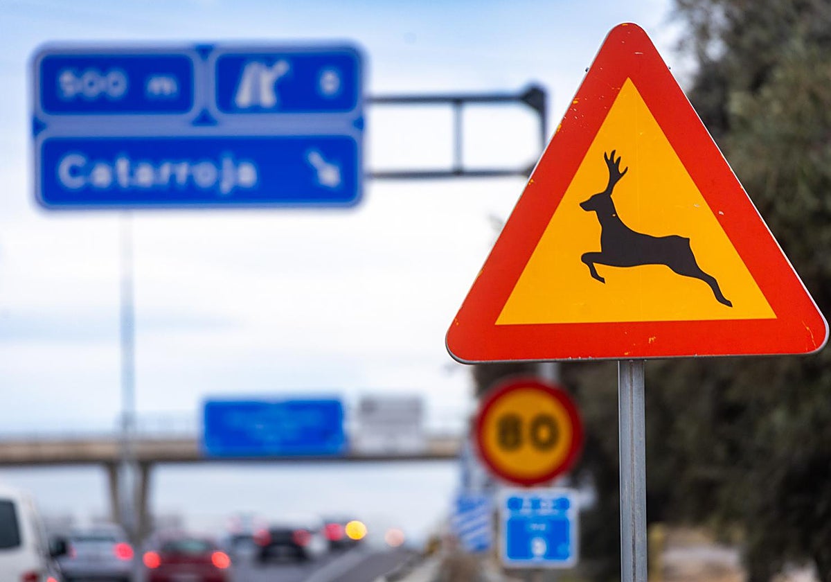 Señal de peligro de presencia de animales salvajes en la Pista de Silla a la altura de Catarroja.