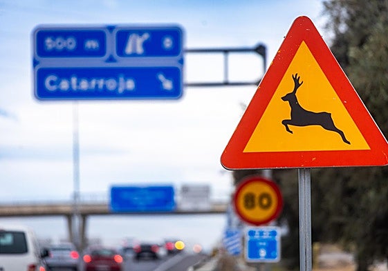 Señal de peligro de presencia de animales salvajes en la Pista de Silla a la altura de Catarroja.