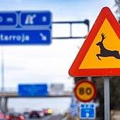 Señal de peligro de presencia de animales salvajes en la Pista de Silla a la altura de Catarroja.