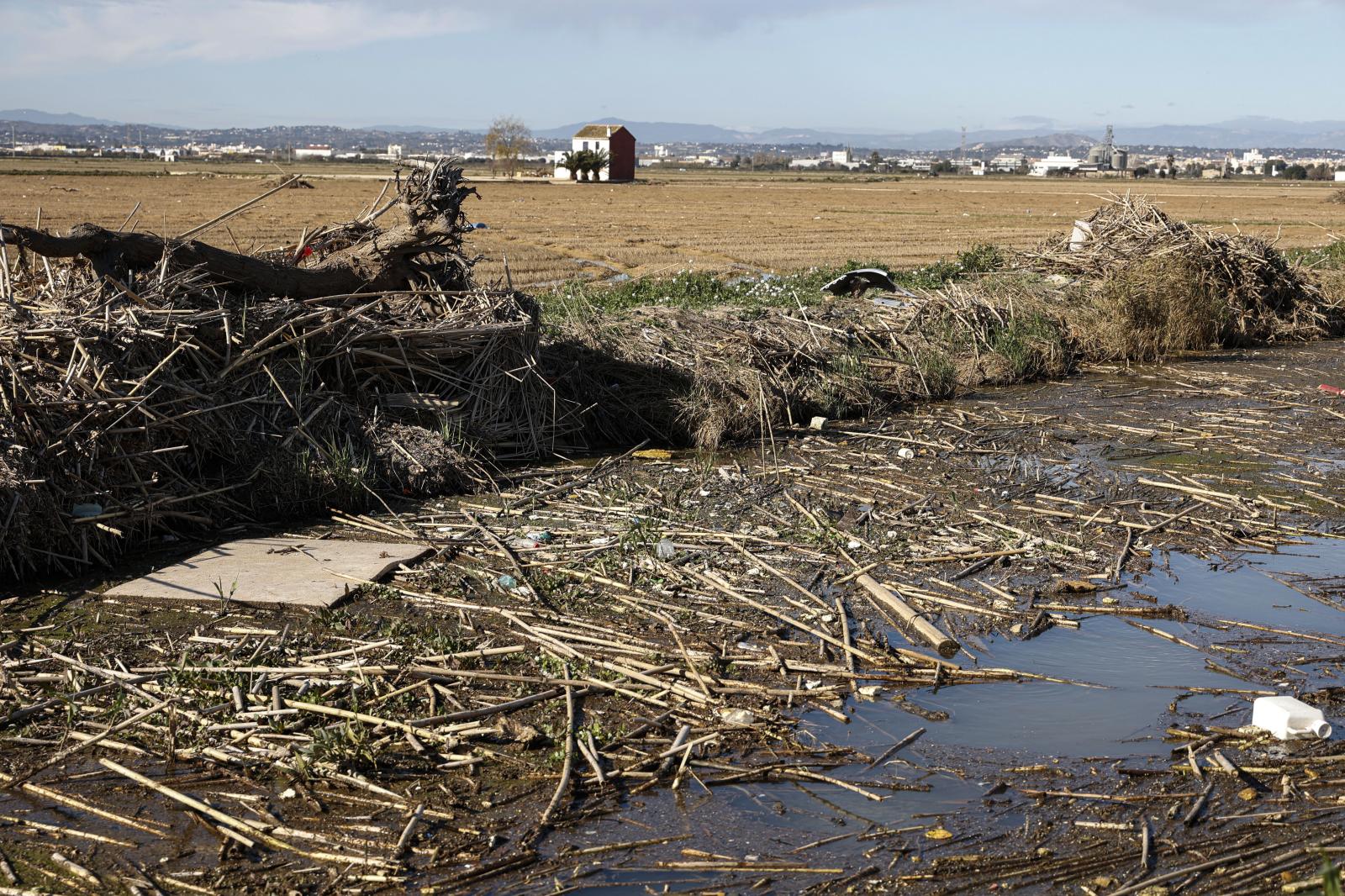 Estado de la Albufera en el término de Catarroja, tres meses después de la dana.