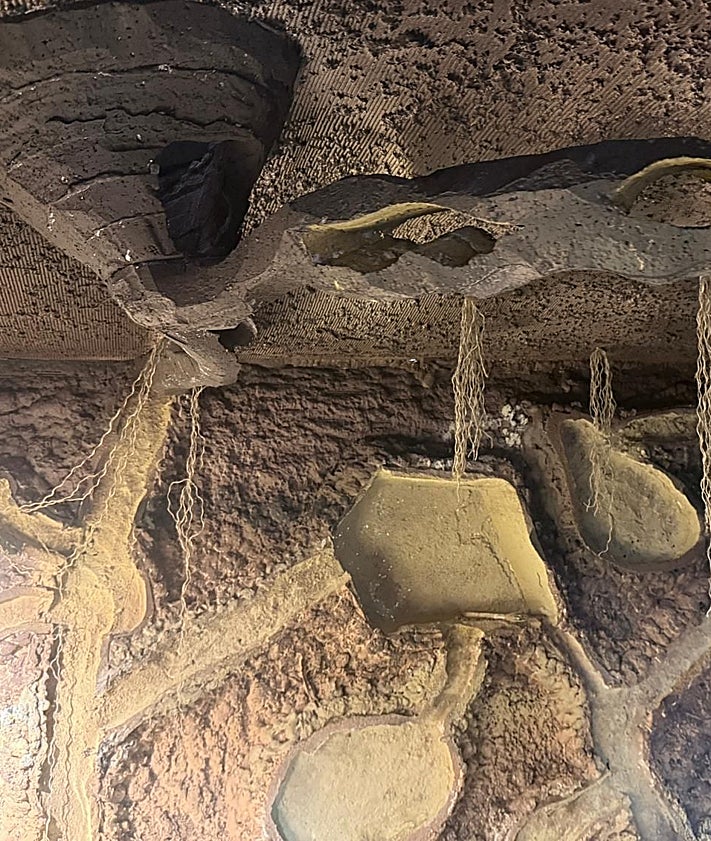 Imagen secundaria 2 - Belén creado con figuras de hormigas en la falla Luis Lamarca.