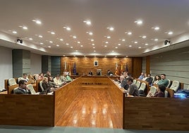 Sesión plenaria ene l Ayuntamiento de Torrent este jueves.