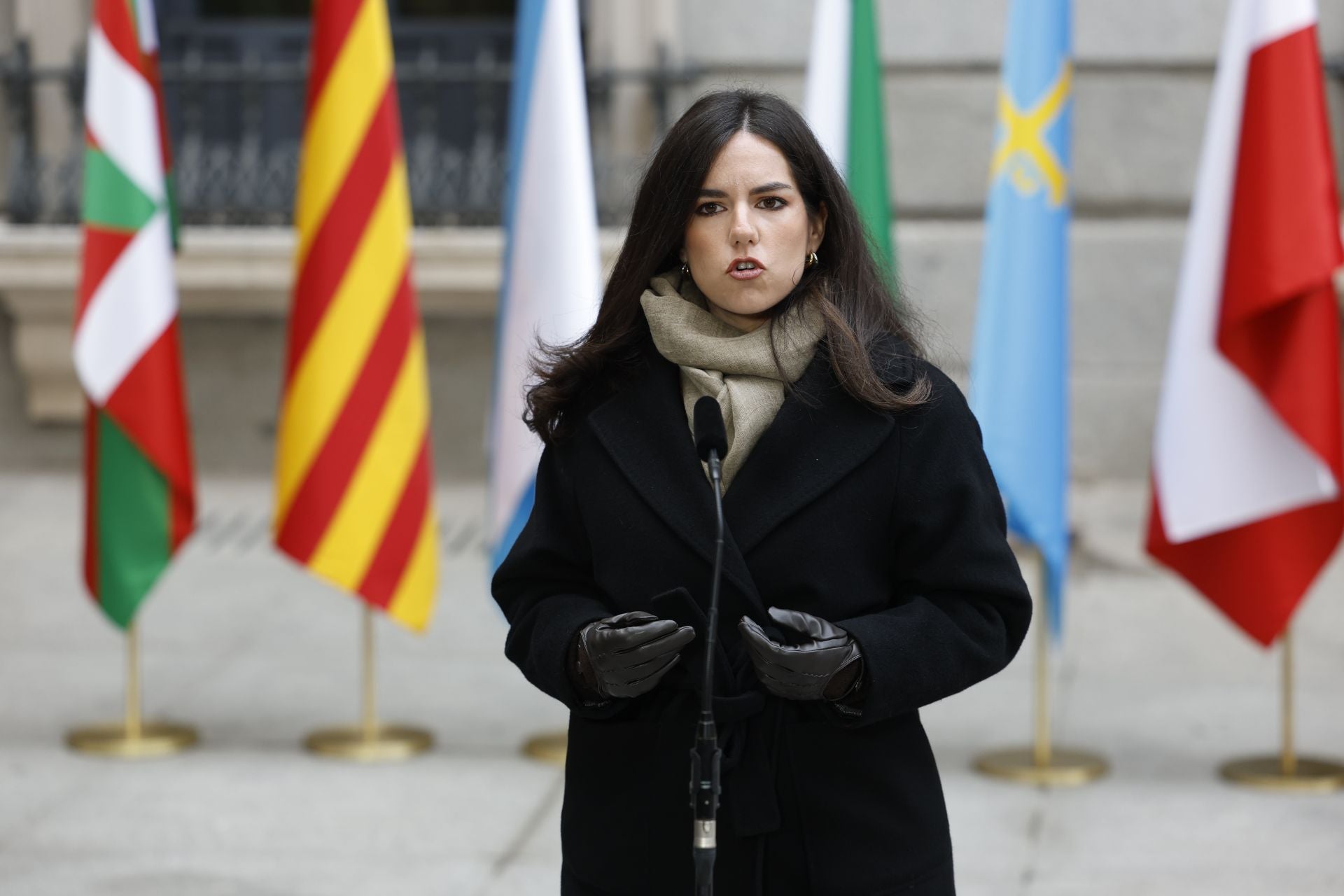 Fotos del Día de la Constitución