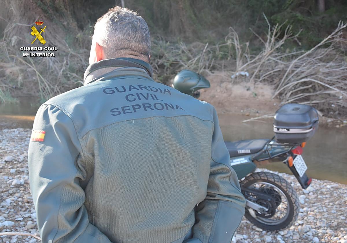 Un agente del Seprona.