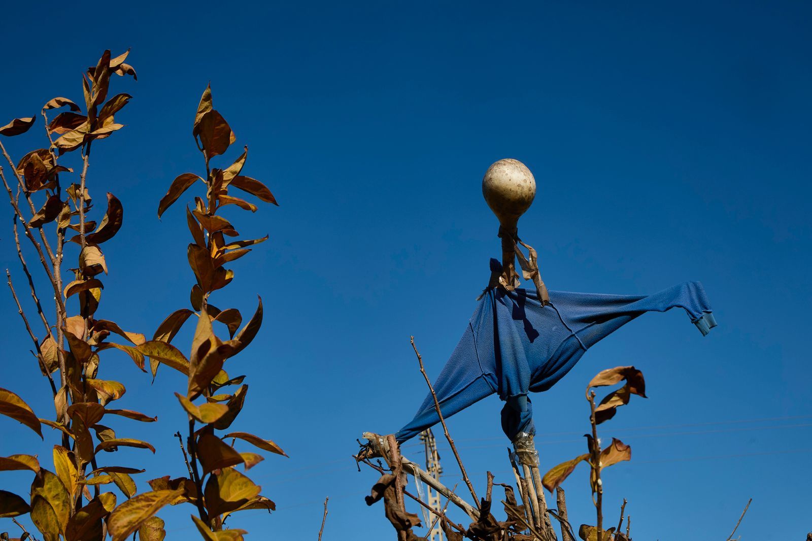 FOTOS | La Festa de l&#039;Horta regresa a Horno de Alcedo