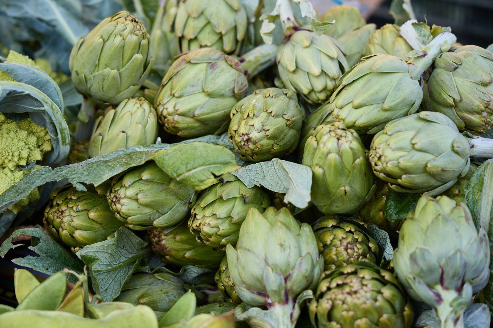 FOTOS | La Festa de l&#039;Horta regresa a Horno de Alcedo