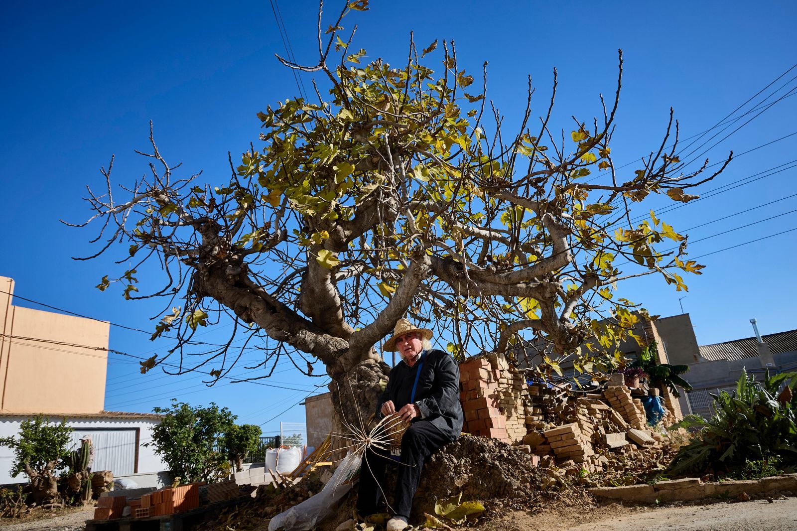 FOTOS | La Festa de l&#039;Horta regresa a Horno de Alcedo