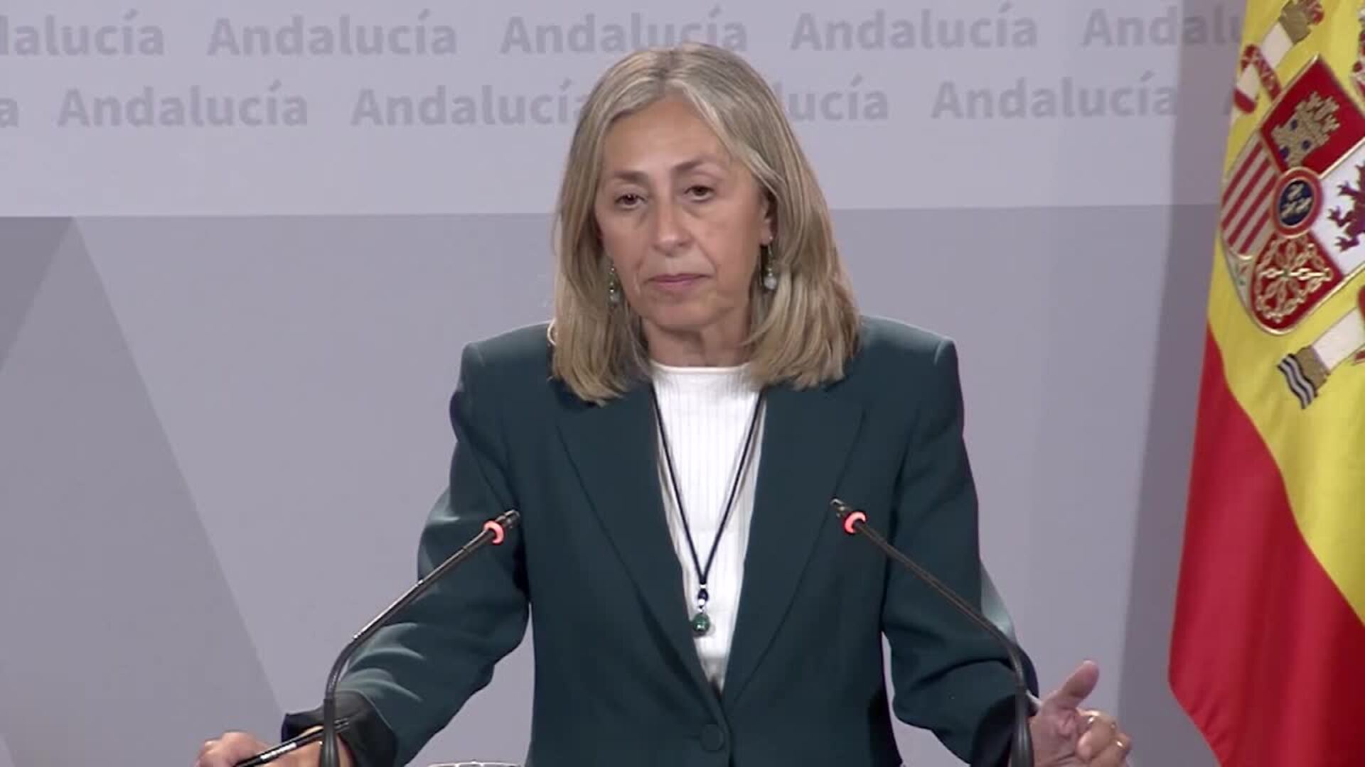 El plan de verano del SAS prevé 36.500 contratos, un 3% de ellos para médicos
