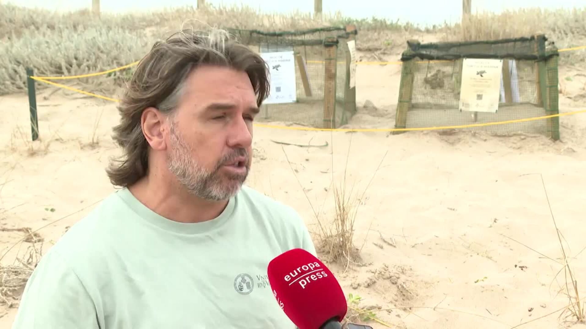 Un experto dice que el cambio climático aumenta la anidación de tortugas en las playas