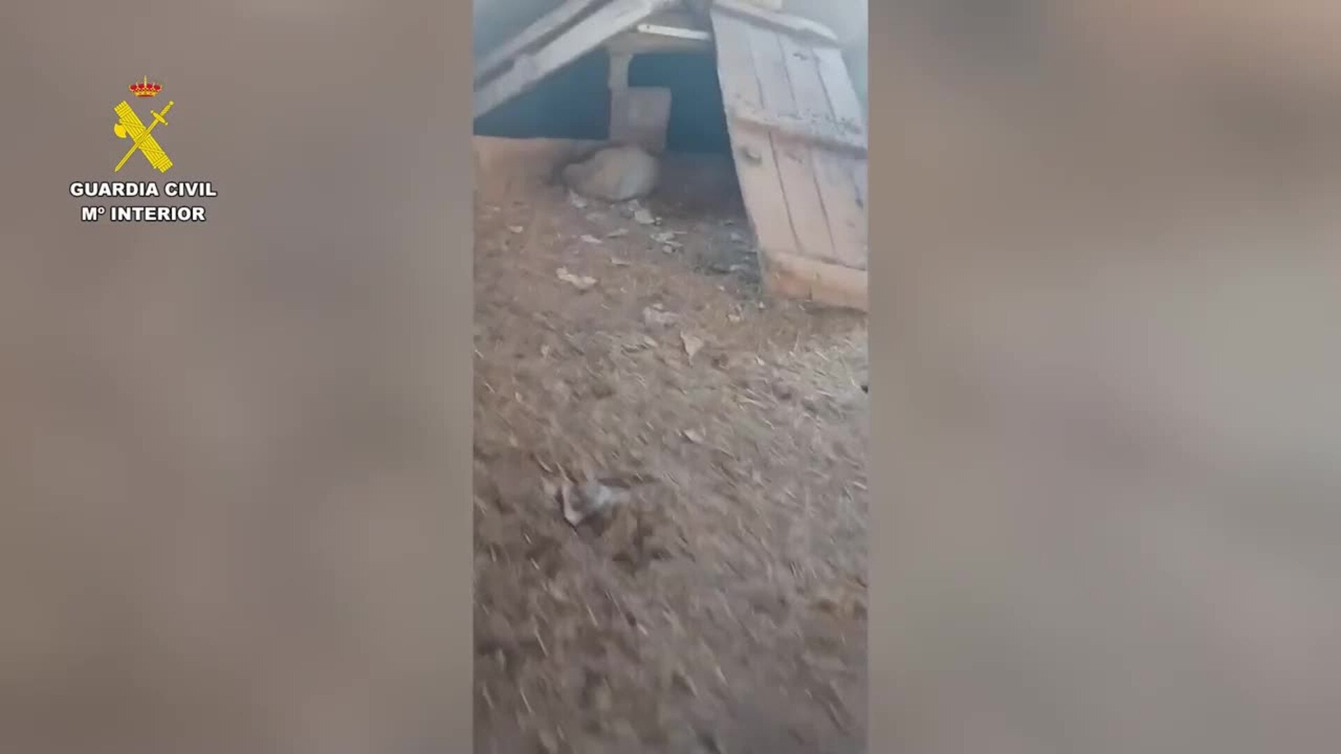 Investigado por maltrato un vecino del Somontano en cuya perrera hallan 14 canes desnutridos