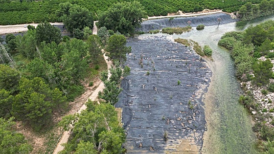 Control aéreo de la caña invasora en el río Júcar