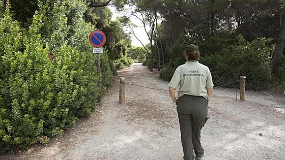 Sólo uno de cada diez agentes medioambientales de la Generalitat trabajó la tarde de la dana