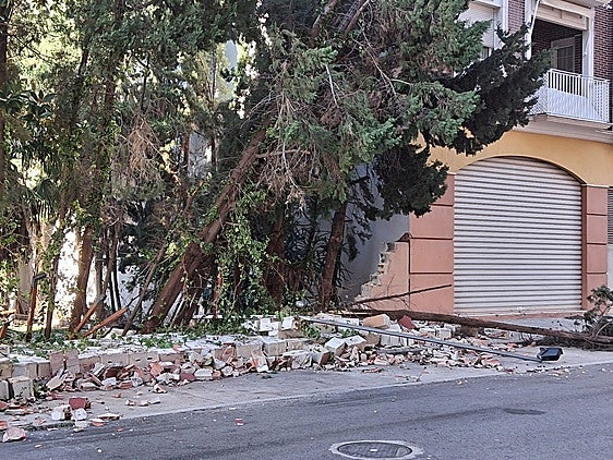 Desprendimientos y cortes de calles y caminos por caídas de árboles en Xàtiva por el viento