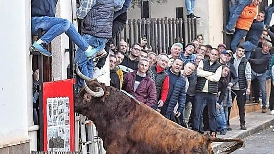 Benavites celebra el Bou de Gener