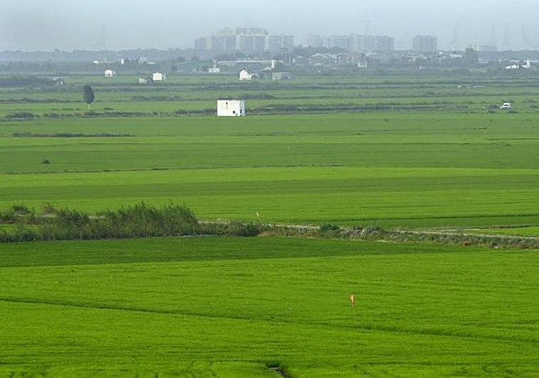 El aviso de Generalitat y Gobierno a agricultores y ganadores para cobrar antes las ayudas de la PAC