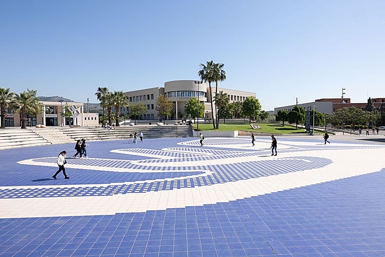 La UJI plantea un enfoque innovador para convertir biomasa en productos químicos de alto valor