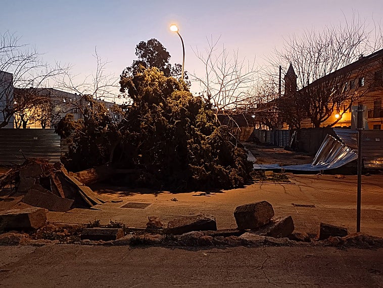 Otra noche con vientos de más de cien kilómetros por hora: arboles caídos, calles cortadas e incendios