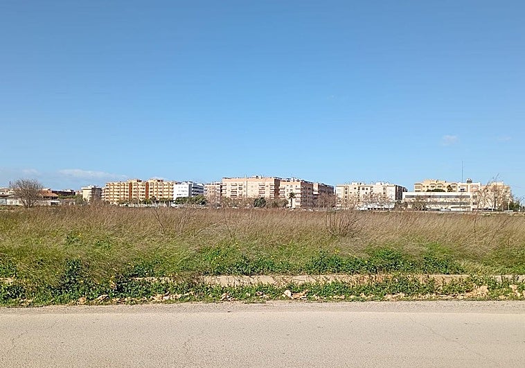 Xirivella construirá 4.000 viviendas en un nuevo barrio en terrenos de huerta