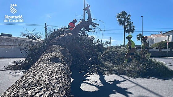 DIRECTO | Última hora del temporal de viento en la Comunitat