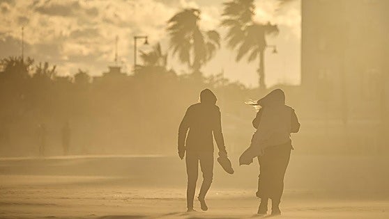 El viento alcanza los 124 km/hora hoy domingo: las localidades donde está soplando con más fuerza