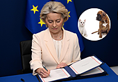 La UE cambia las normas: los dueños de perros y gatos están obligados a cumplir estos requisitos a partir de 2028