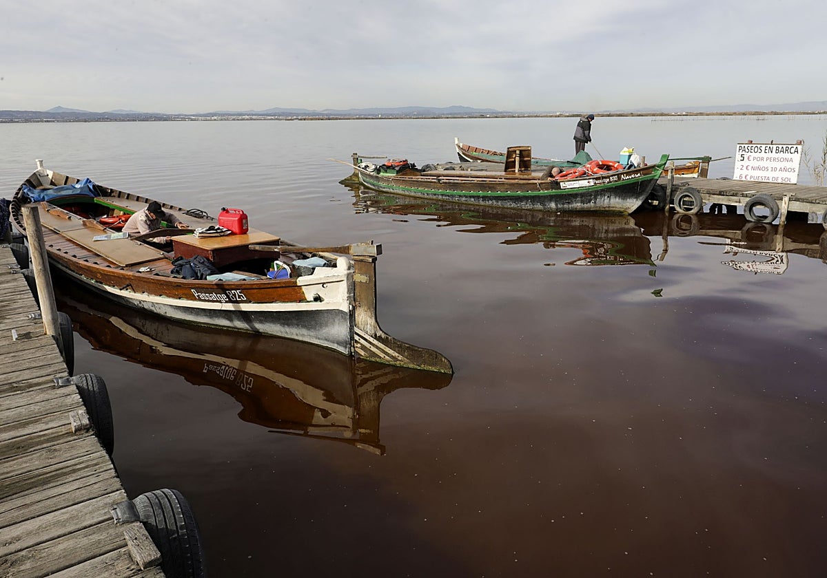 La Albufera, con el agua cada vez más turbia | Las Provincias