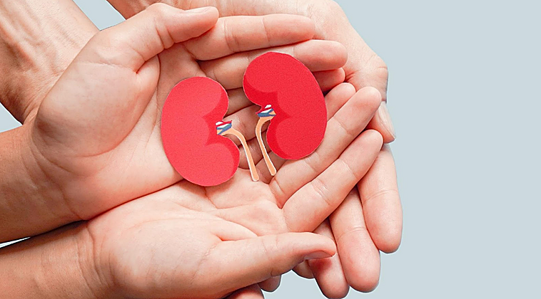 Enfermedad renal crónica: cuando riñón, páncreas y corazón hablan el mismo idioma