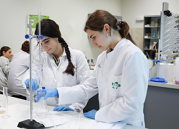 Los colegios internacionales Mas Camarena consolidan su excelencia como colegios del Bachillerato Internacional