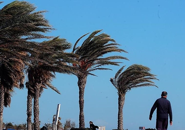 ¿Hasta cuándo hará viento en la Comunitat Valenciana? Aemet activa tres alertas este lunes