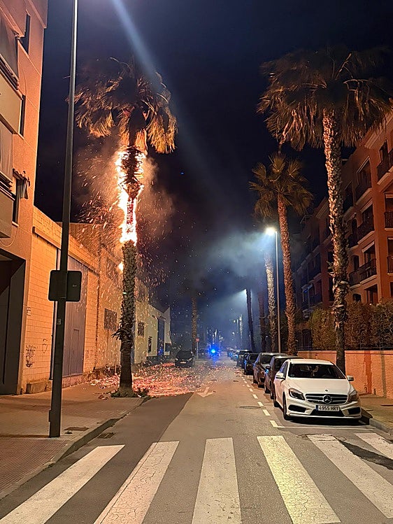 El incendio en una palmera en una calle de Dénia se extiende a una nave industrial