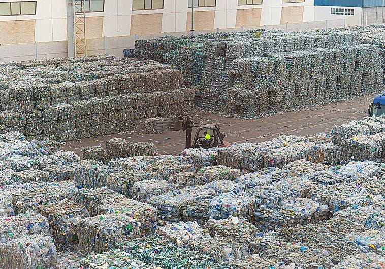 El polígono de las moscas