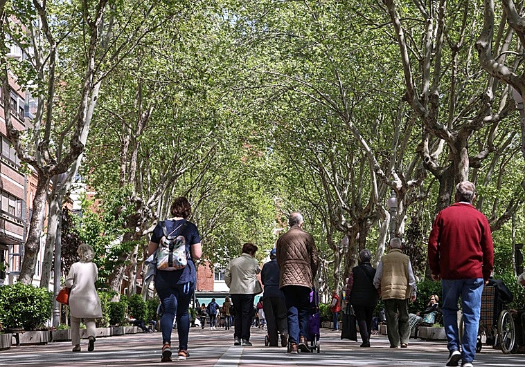 La alergia primaveral que llega a Valencia: síntomas más fuertes y de mayor duración