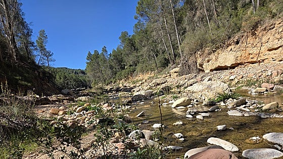 Los Estrechos del Arroyo Regajo: la ruta escondida de Valencia