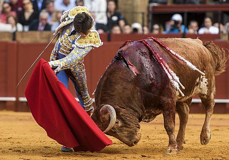 Roca Rey, corneado en la Feria de Sevilla