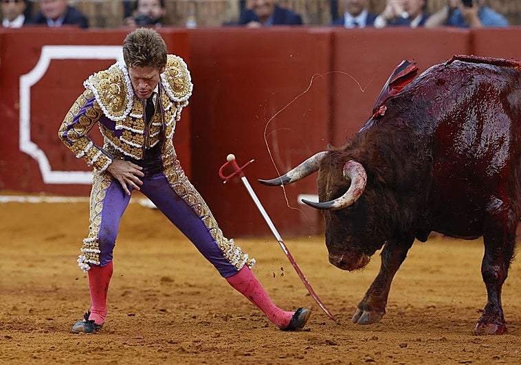 Morante, con el alta hospitalaria, inicia la recuperación en su casa
