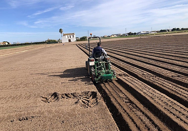 Alemania y Países Bajos se niegan a poner más dinero para la Política Agraria de la UE