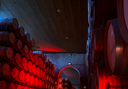 Disfruta de una experiencia de vino y brasas, talleres de carne y cenas exclusivas por ser suscriptor de LAS PROVINCIAS