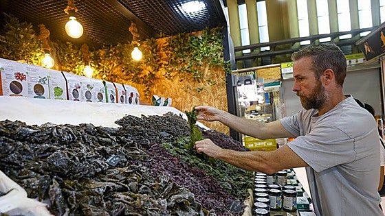 El ingrediente que aún no sabes que necesitas