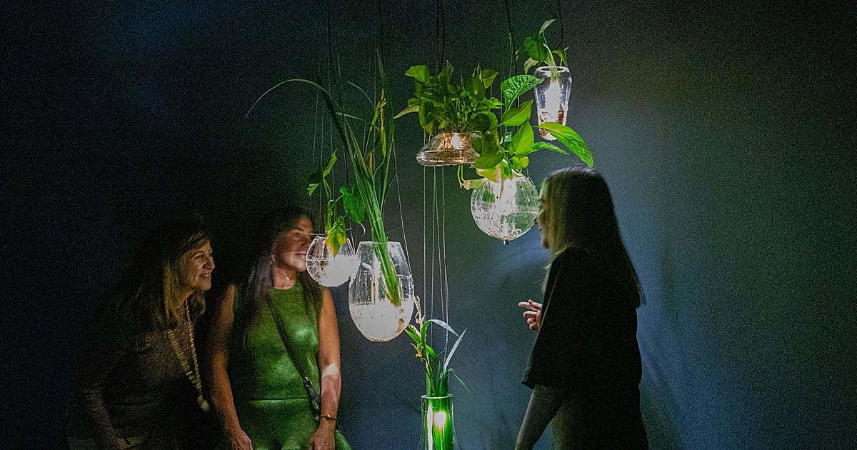 El IVAM explora el subsuelo con la exposición inmersiva de Tania Candiani