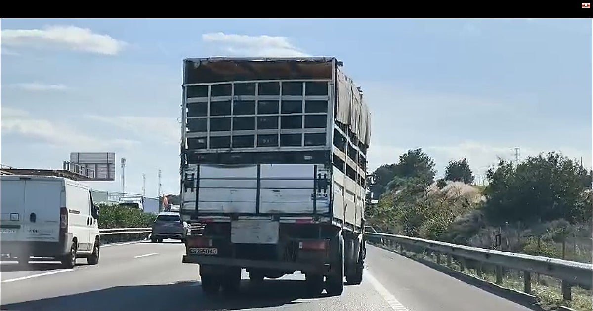 Así circulaba un camión 'desastre' que amenazaba la circulación en la A-7