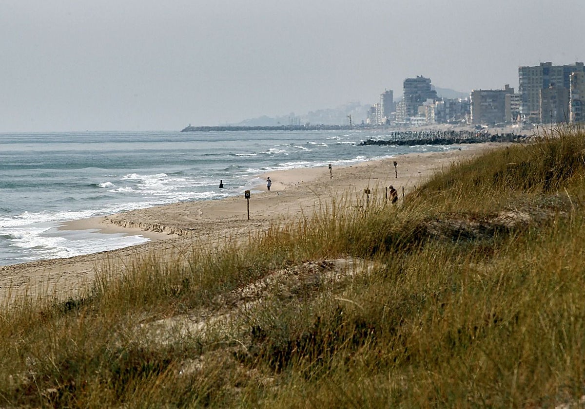 Valencia blindará la playa más valiosa de la Albufera con empalizadas