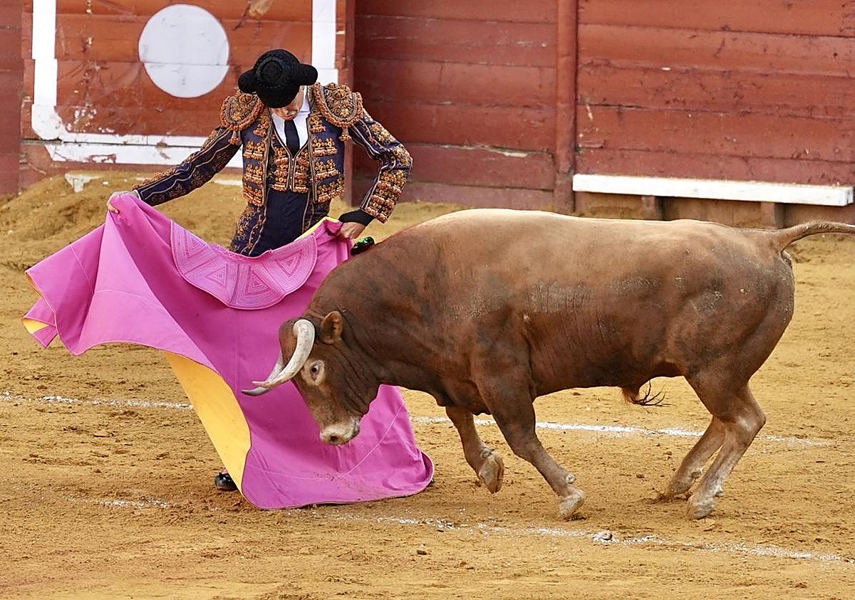 Las ocho corridas de toros que se pueden ver gratis por televisión esta semana: de José María Manzanares a Juan Ortega y Román