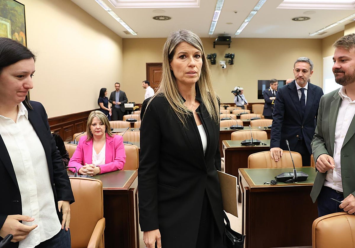 Vilaplana en el Congreso: la comparecencia que casi nadie quería y casi todos propiciaron