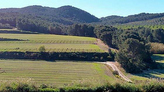 Los ecologistas detectan 40 proyectos de plantas fotovoltaicas en suelos protegidos