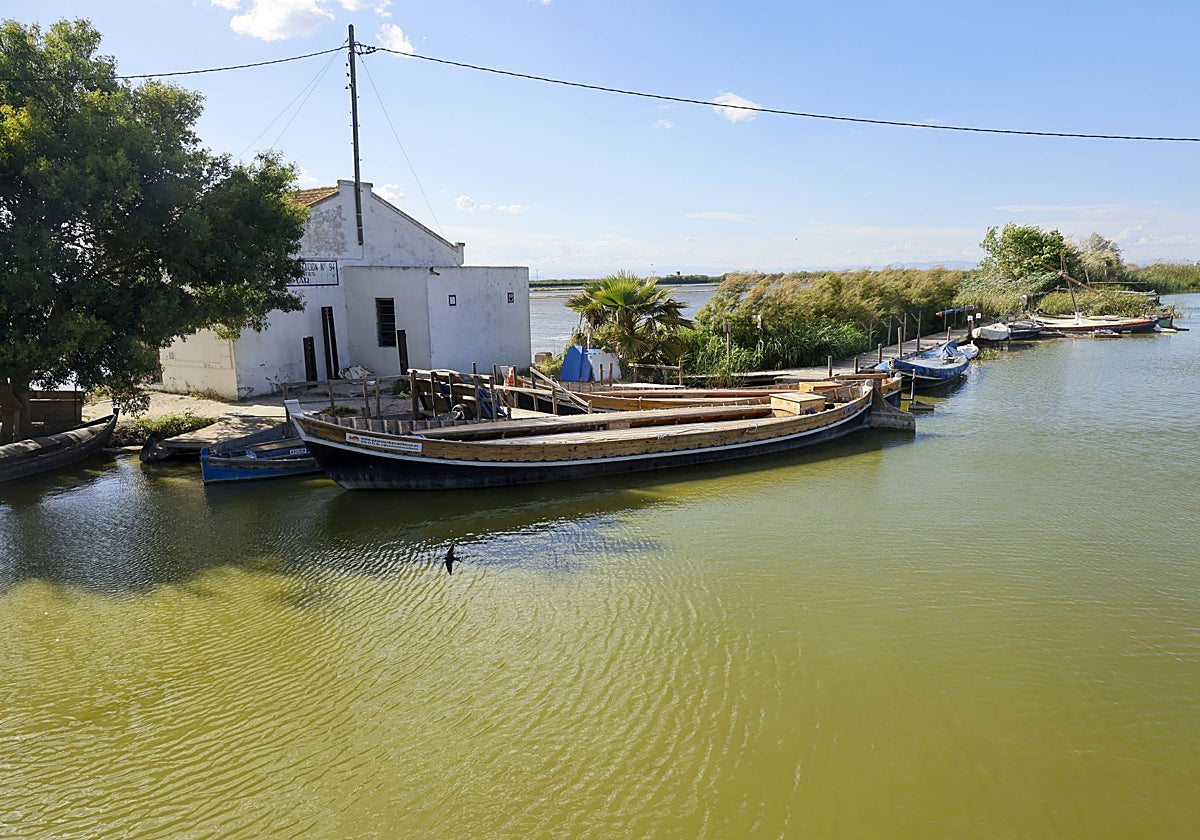 El Plan Especial de la Albufera del Gobierno, en marcha: ya se ha invertido un 18% del presupuesto