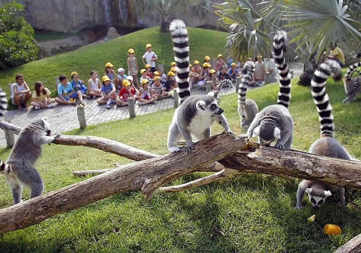 Qué hacer con niños en Valencia este fin de semana: talleres, teatro, granjas y espectáculos de magia