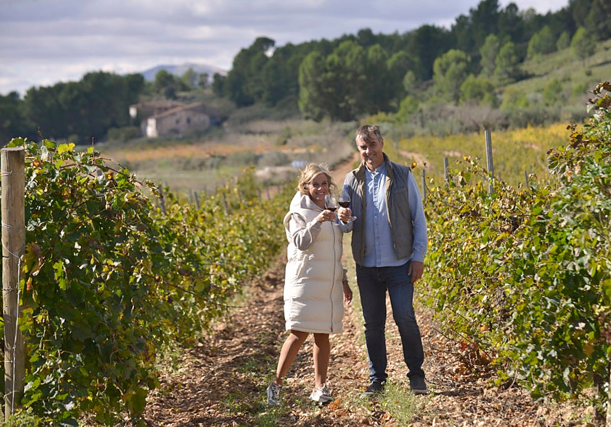 Enoturismo en Finca casa Colau