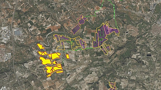 «Vamos a agotar todos los medios posibles para evitar la concentración de macroplantas en la Vall d'Albaida»