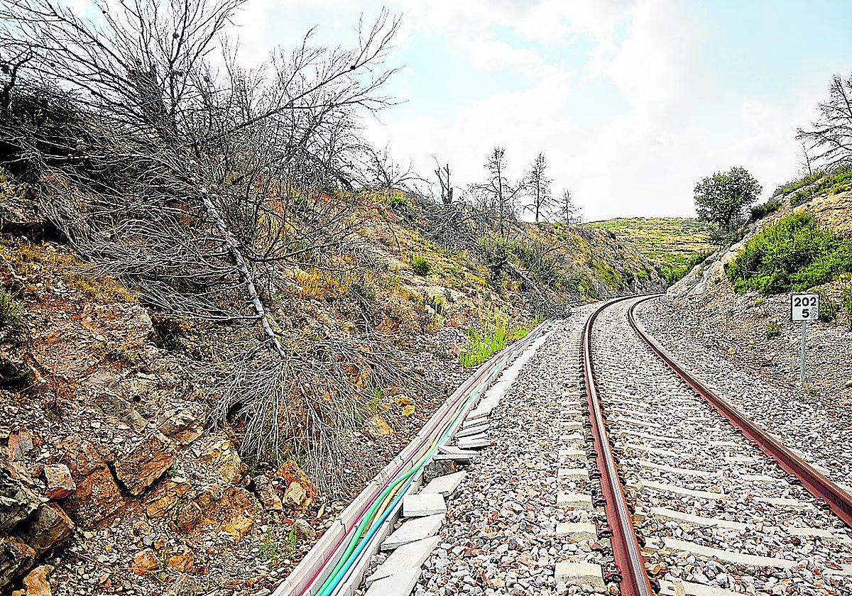 Una queja de un letrado al Poder Judicial reactiva la causa del tren de Bejís