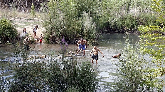 La CHJ deja en manos de los municipios dragar los restos de la dana en playas fluviales del Turia